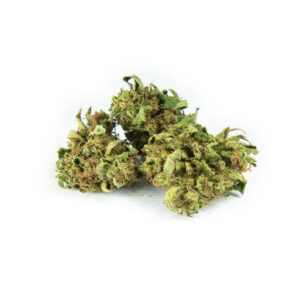 Bubblegum CBD
