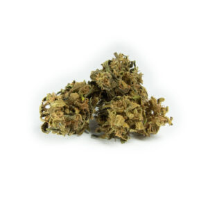 Orange Breeze CBD
